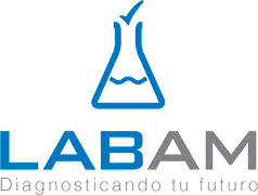 LABAM – Laboratorio Ayabaca Madrid